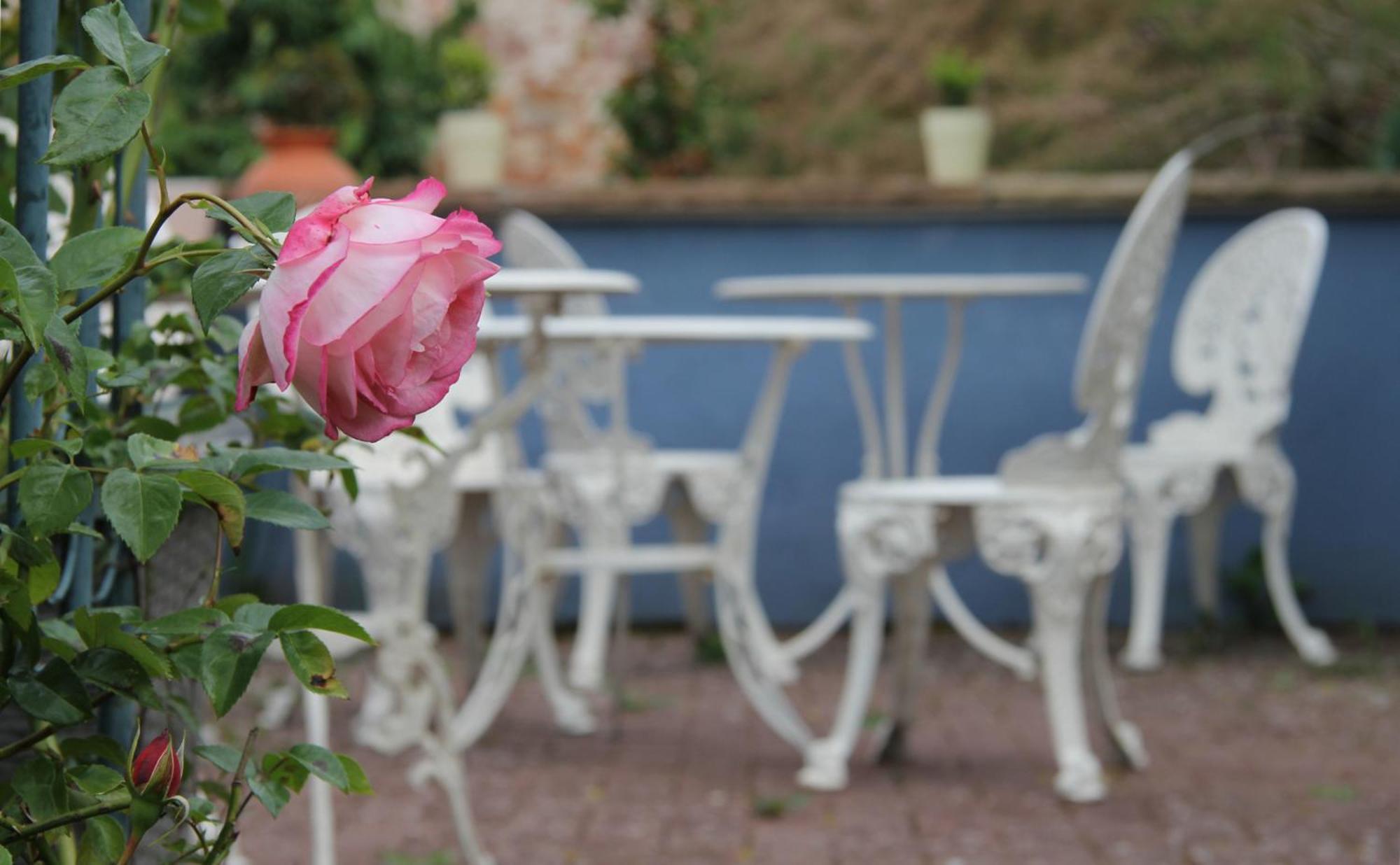 No.31 B&B Im Rosengarten Kapellen-Drusweiler Dış mekan fotoğraf