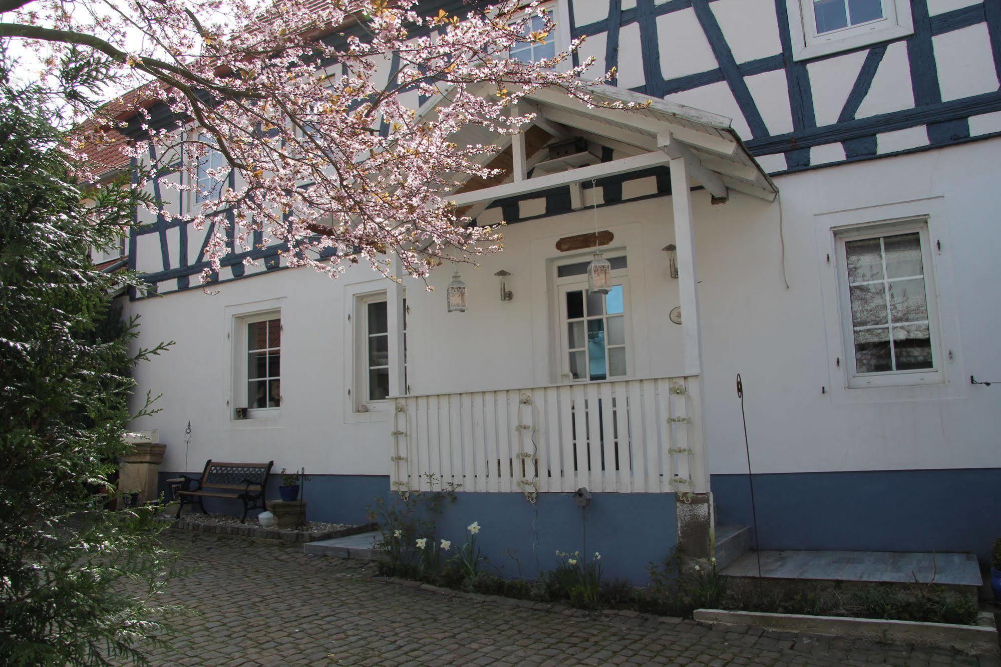 No.31 B&B Im Rosengarten Kapellen-Drusweiler Dış mekan fotoğraf