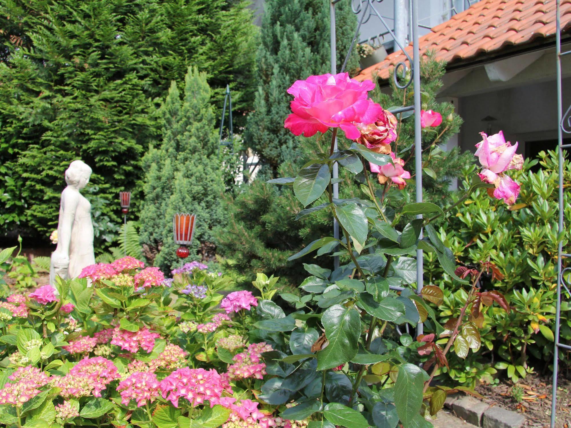 No.31 B&B Im Rosengarten Kapellen-Drusweiler Dış mekan fotoğraf